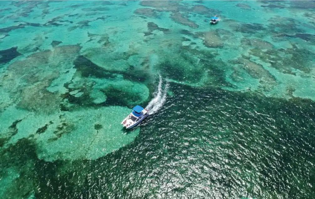 Snorkeling the hidden inn punta cana