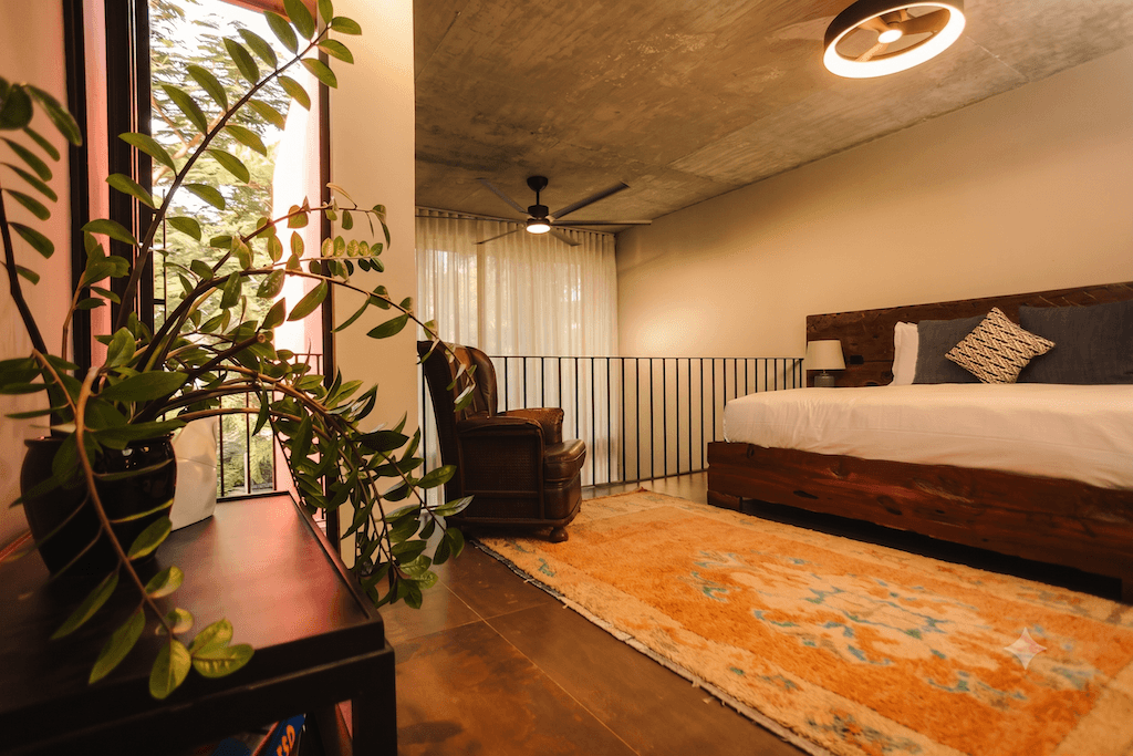 Loft hotel room with a wooden bed, white linens, and a vibrant orange rug; a potted plant sits on a nearby table in the foreground.